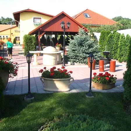 Guest house Halasz Airport Panzio 3*