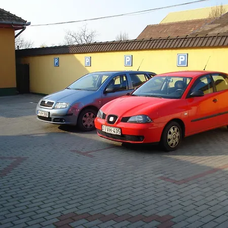 Guest house Halasz Airport Panzio