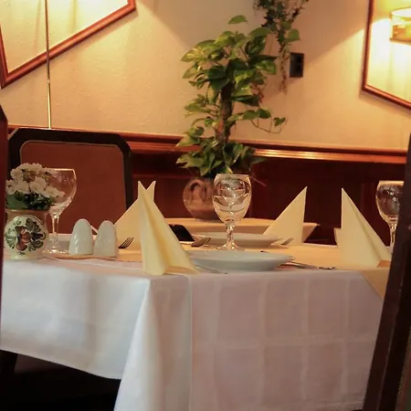 Halasz Airport Panzio Guest house