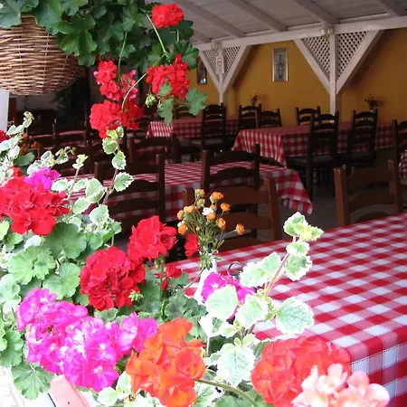 Halasz Airport Panzio Guest house 3*