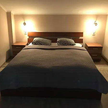 Guest house Halasz Airport Panzio