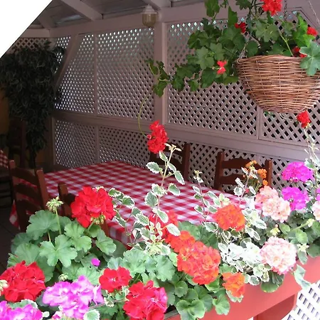 Halasz Airport Panzio Pensiune 3*
