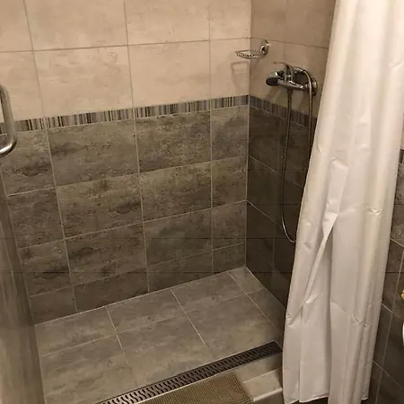 Halasz Airport Panzio 3* Vecsés