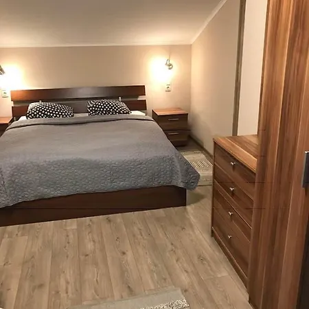 Pensiune Halasz Airport Panzio 3*