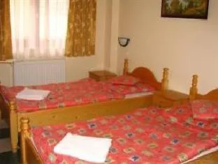 בית הארחה Halasz Airport Panzio וסס