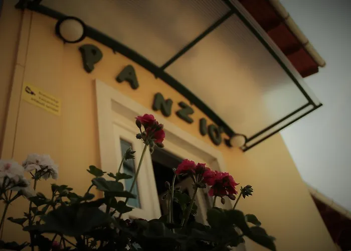 Halasz Airport Panzio 4* וסס