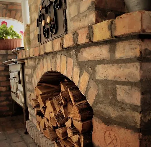 Halasz Airport Panzio וסס