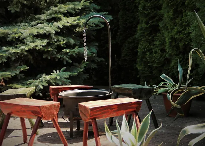 בית הארחה Halasz Airport Panzio