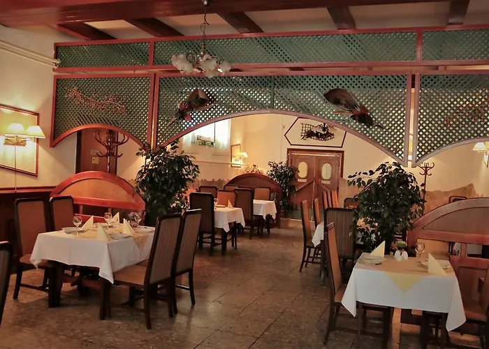 Halasz Airport Panzio