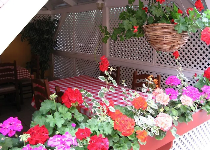 Halasz Airport Panzio בית הארחה 4*