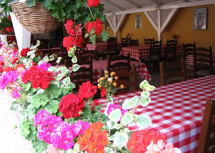 Halasz Airport Panzio בית הארחה 4*