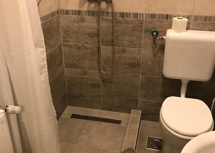 Halasz Airport Panzio 4*