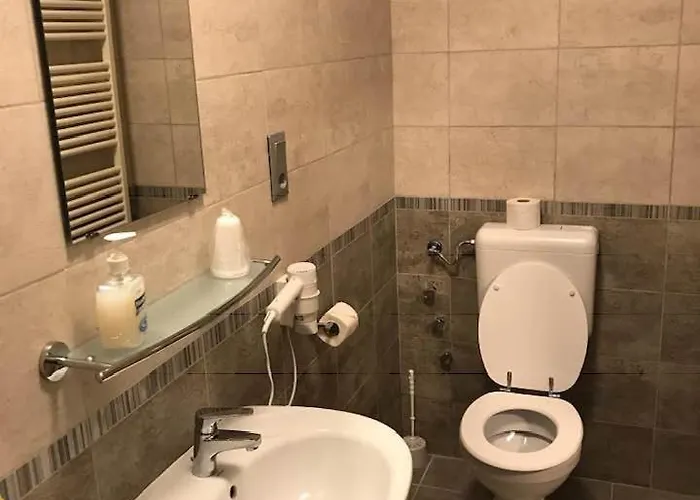 בית הארחה Halasz Airport Panzio וסס