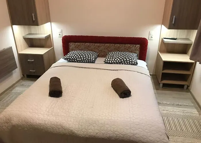 Halasz Airport Panzio בית הארחה